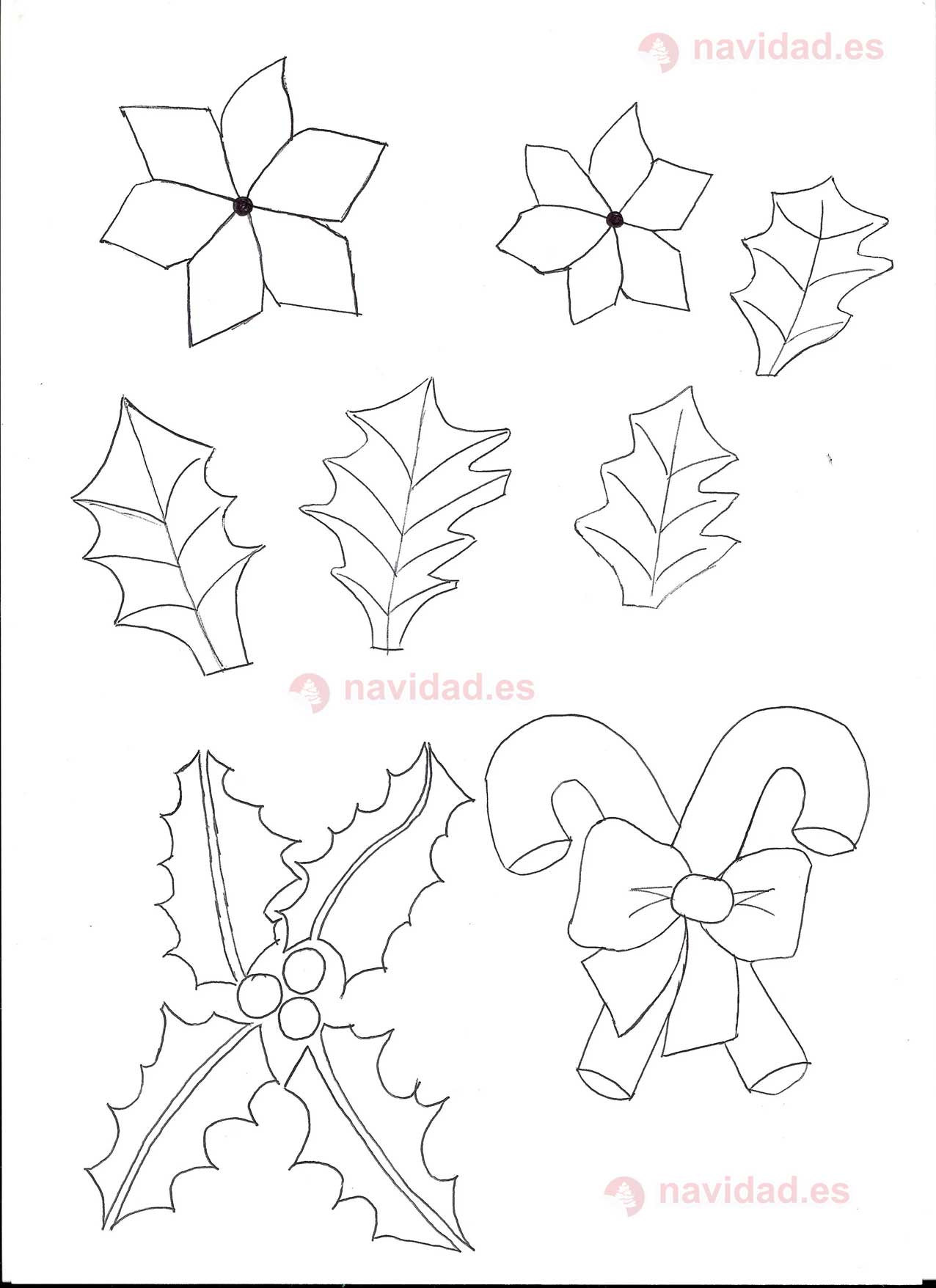 Dibujos flores para descargar - Navidad. Tu revista navideña