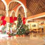 Decoración de Navidad, árbol navideño en Riviera Maya