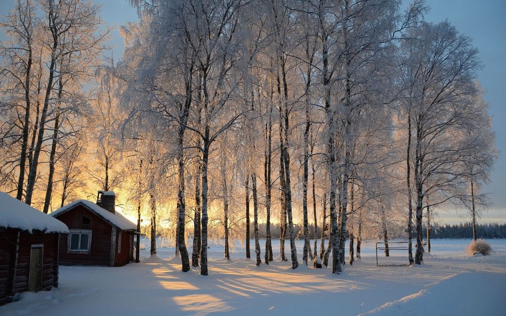 Navidad en Finlandia - paisajes nevados