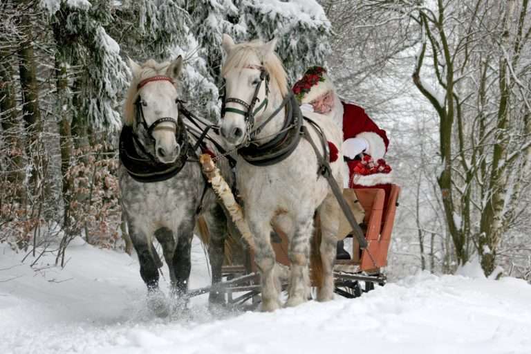 Papa Noel, Reyes Magos desvelar