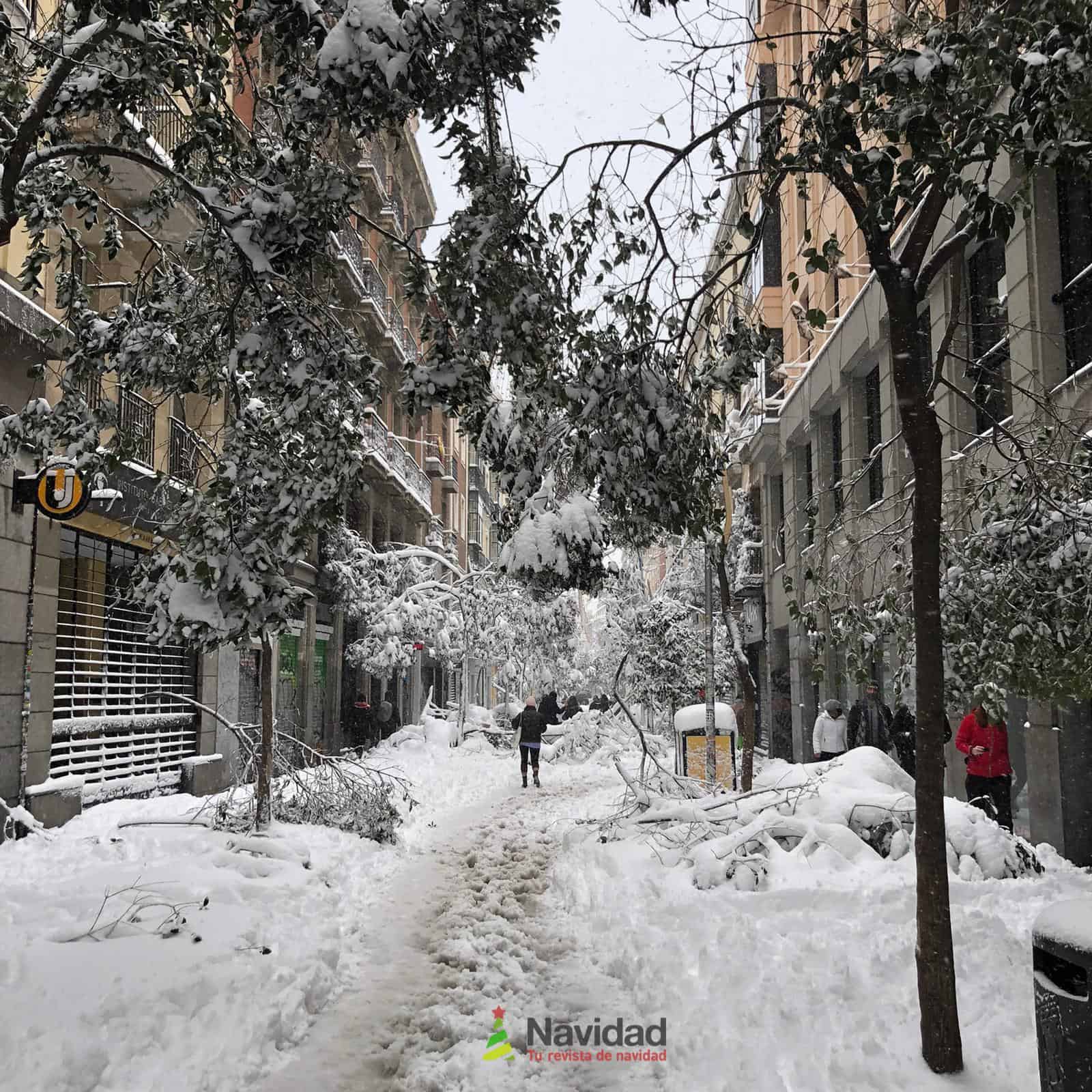 Fotografías de la nevada de enero en Madrid (España) 39