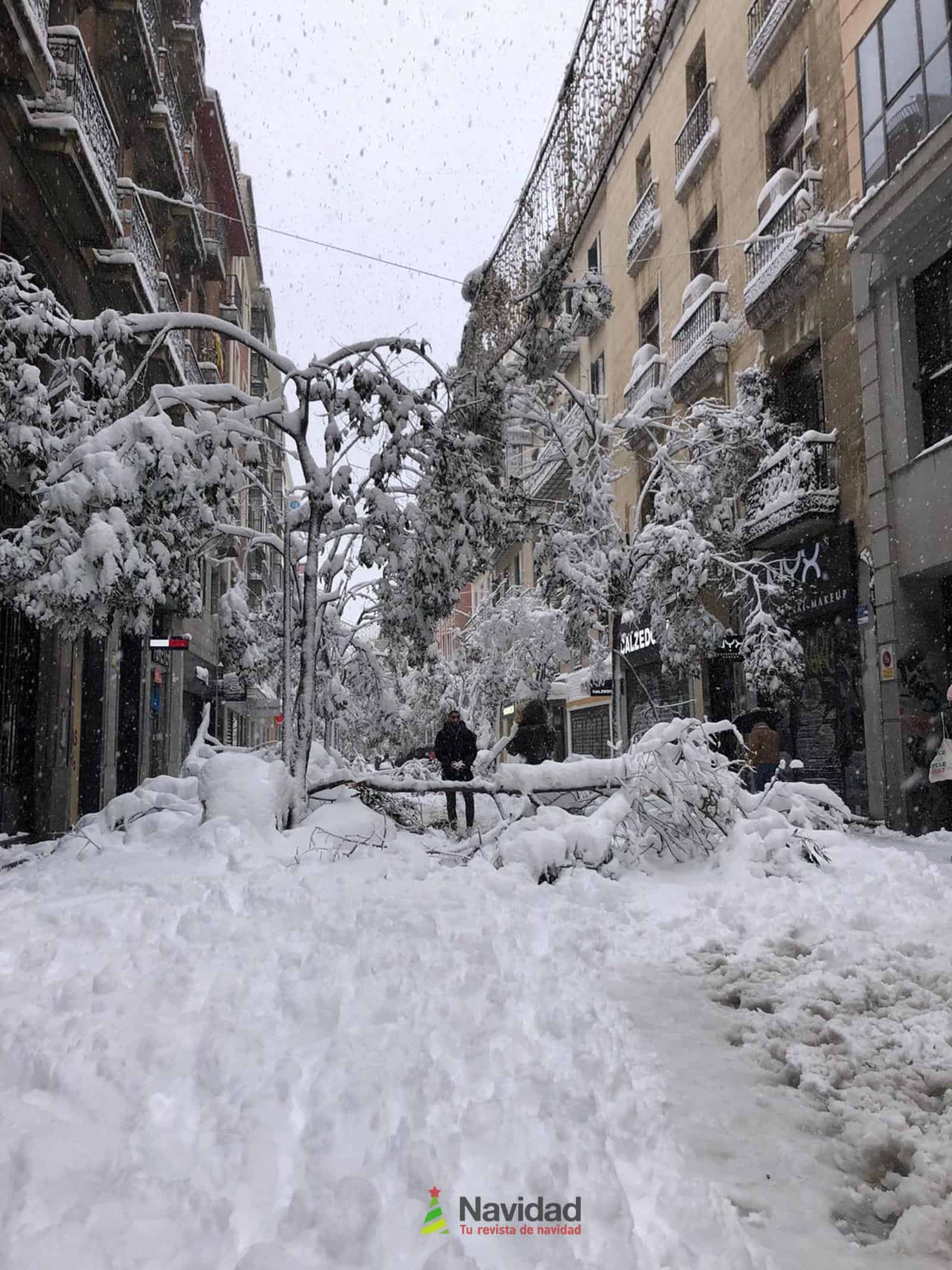 Fotografías de la nevada de enero en Madrid (España) 42