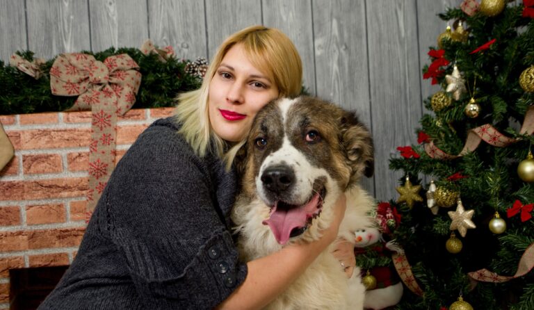 Trucos para evitar que tu perro tire el árbol de Navidad