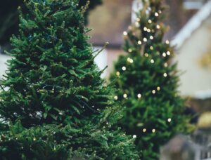 Navidad 2022 - 2023 - Inicio 33 Navidad 2022 - 2023 - Inicio 24