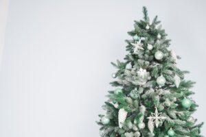Navidad 2023 - 2024 - Inicio 37 Navidad 2023 - 2024 - Inicio 21